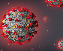 COVID Spike Protein